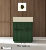 1581 Karşılama Bankoları