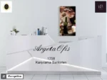 1758 Karşılama Bankoları - Görsel 6