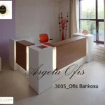 3005 Karşılama Bankoları