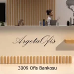 3009 Karşılama Bankoları