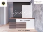 3010 Karşılama Bankoları