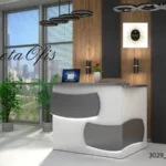3029 Karşılama Bankoları