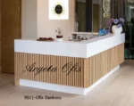 9011 Karşılama Bankoları