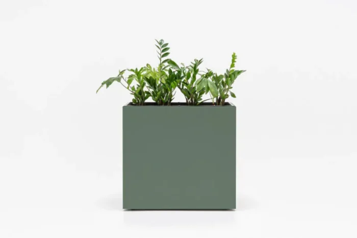 OFİS SAKSISI-1 - Görsel 3